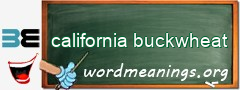 WordMeaning blackboard for california buckwheat